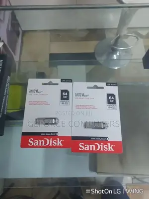 Sandisk Flash
