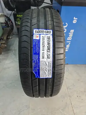 255/50r19 Goddard Transforce Tire