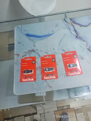 Flash Disks