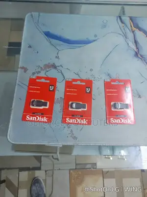 Flash Disks