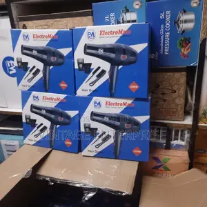Hair Dryer* Blow Dryer * Electromate