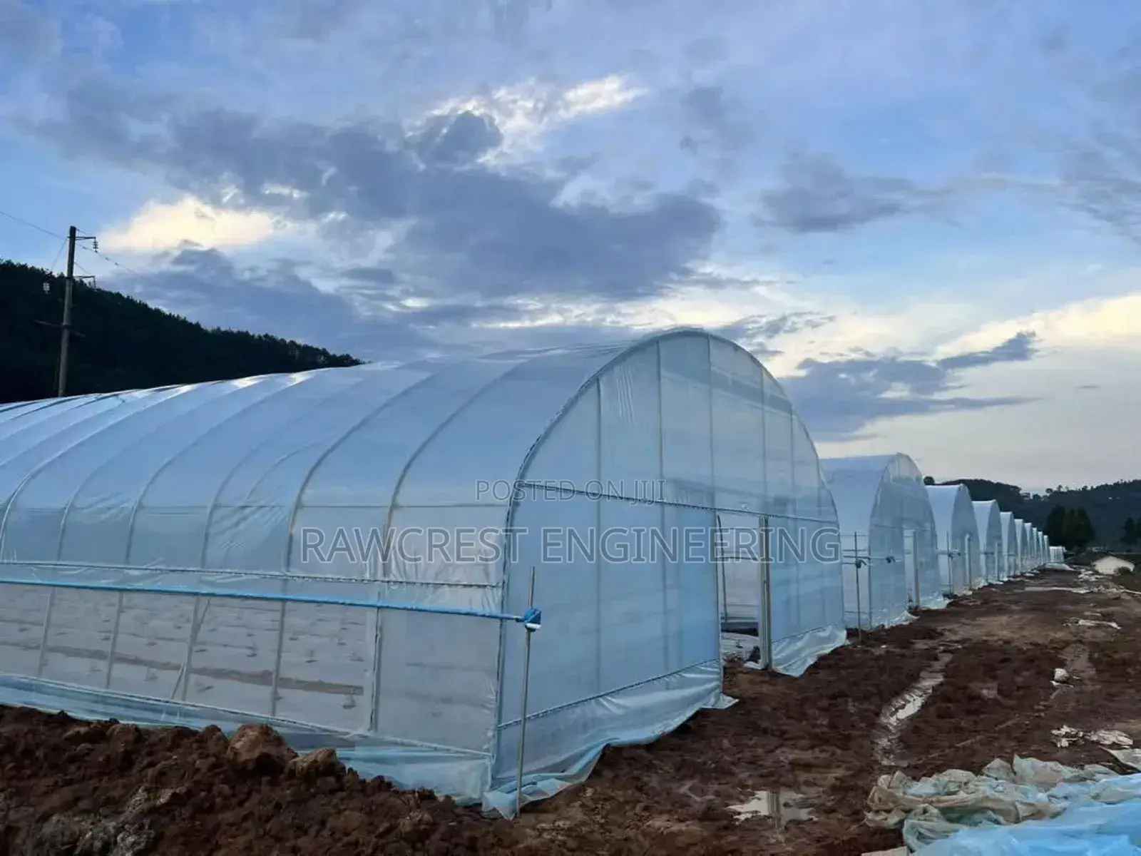 Greenhouse Construction