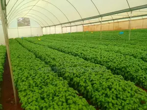 Greenhouse Structure Installation