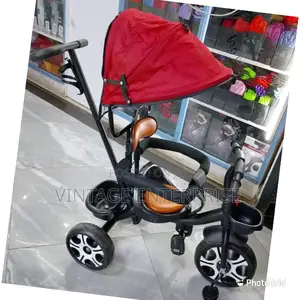 Push Tricycle With Detachable Handle/Canopy
