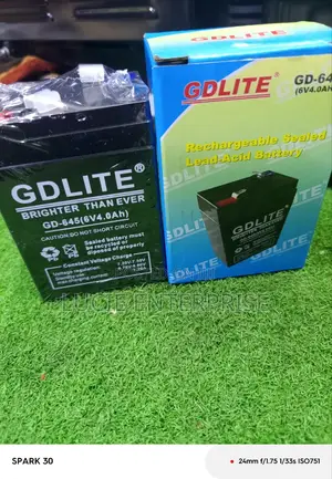 Rechargeable Battery/Digital Weighing Scale Battery