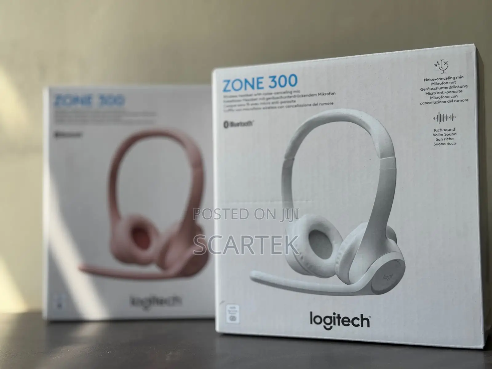 Logitech Zone 300