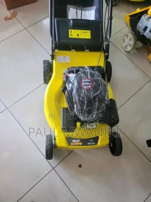 Wasp 196cc 4 Stroke Lawn Mower