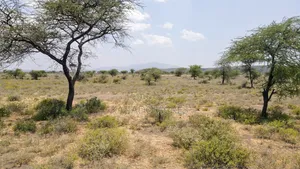 Prime 5 Acres Tinga at Per Acre