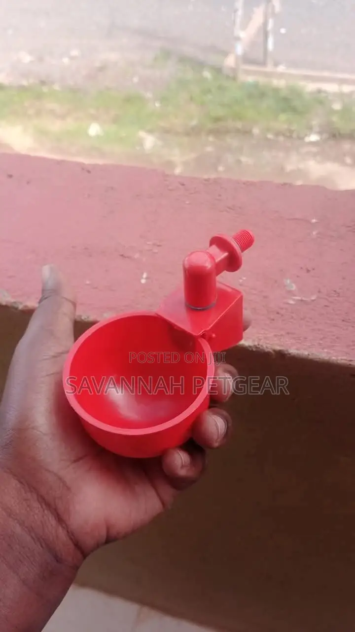 Fully Automatic Poultry Chicken Drinking Cup Drinking Bowls