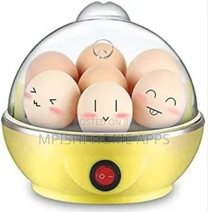 Electric Egg Boiler