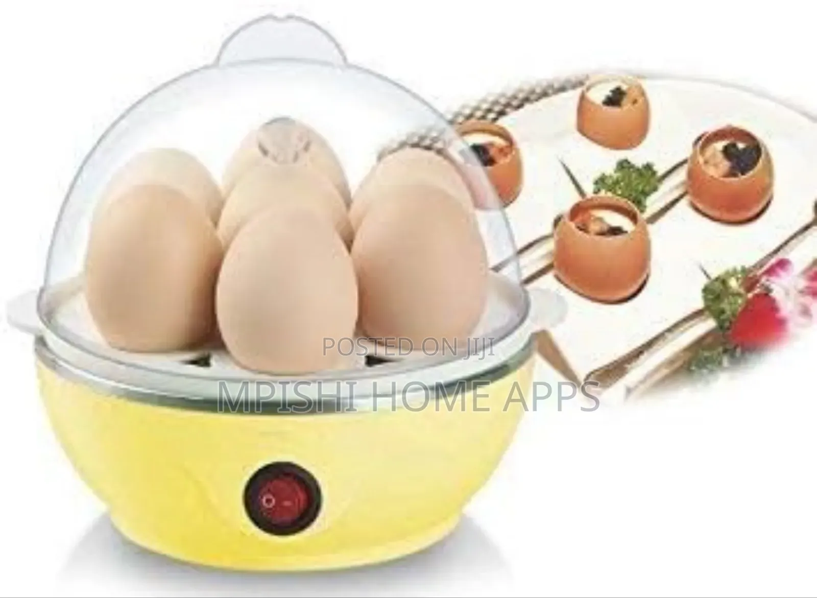 Electric Egg Boiler