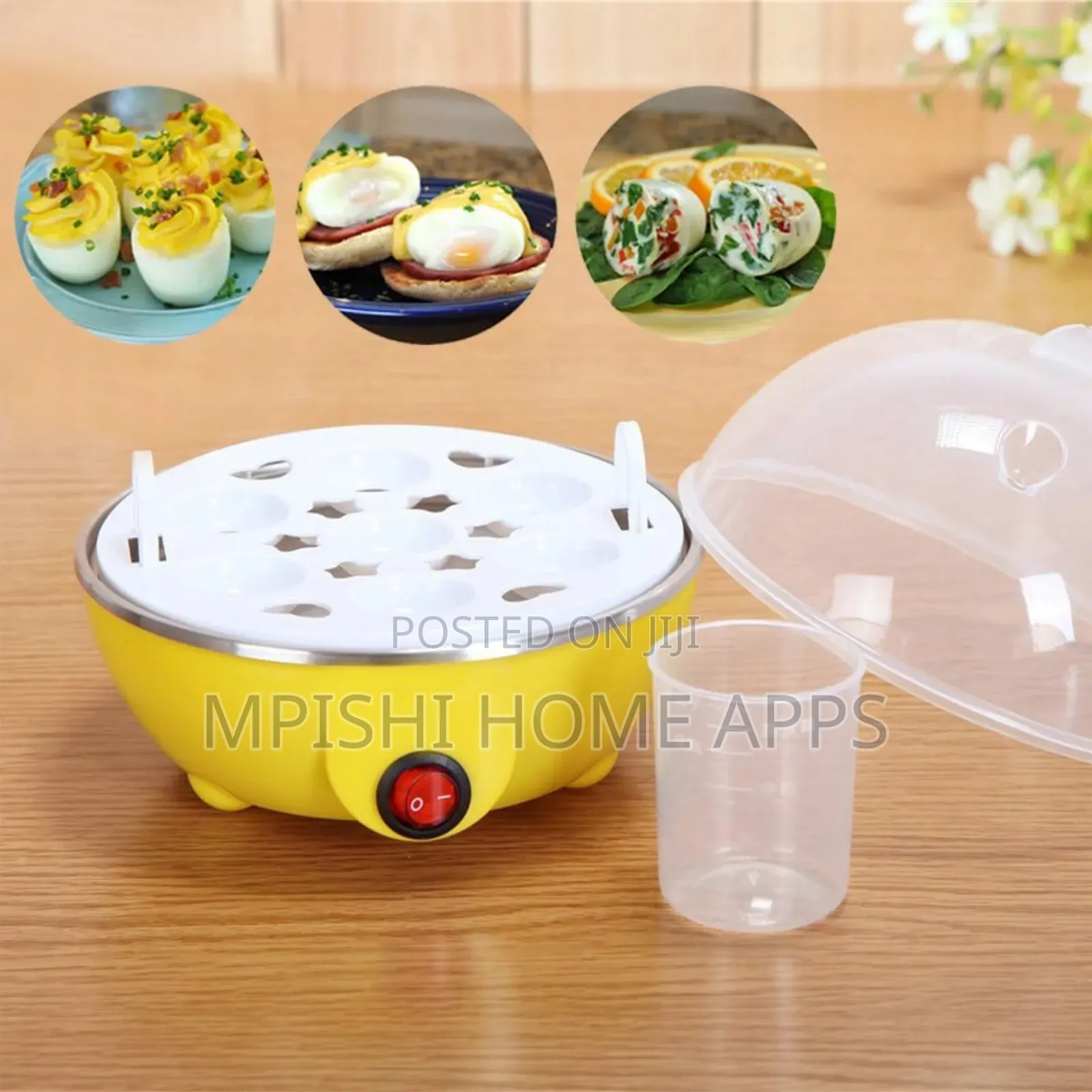 Electric Egg Boiler