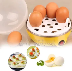 Electric Egg Boiler