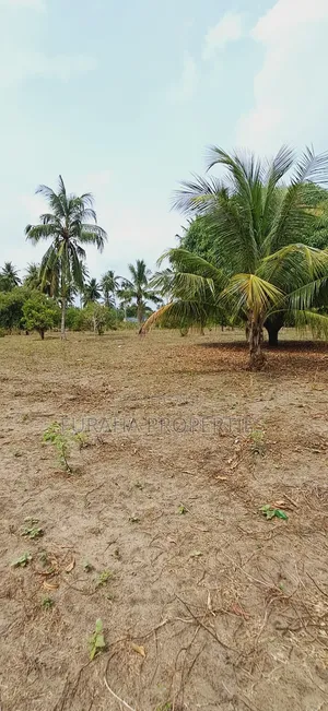 For Sale 2 Acres Land Msambweni