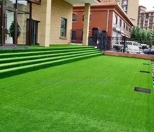 Artificial Grass Carpet for Entrances- Nairobi