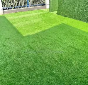 High-Performance Artificial Grass Carpet