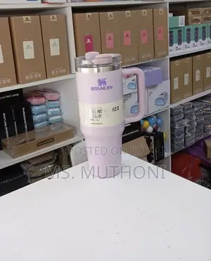 Original Stainless Insulated Stanley Mugs in Random Colors