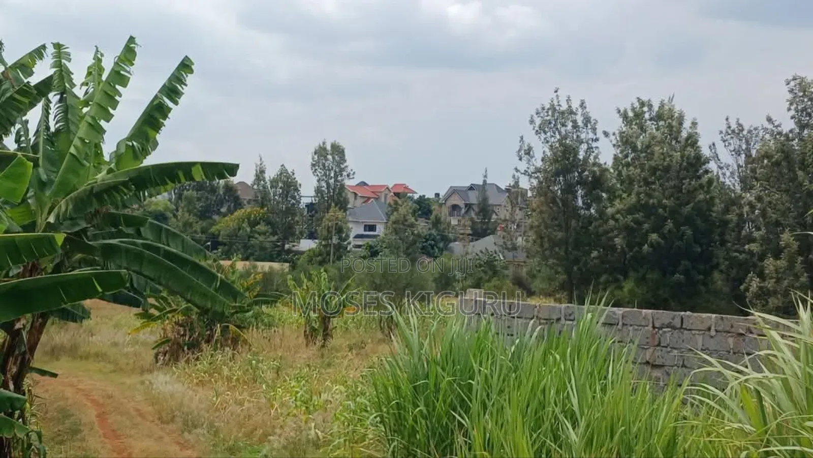 Ruiru, Mugutha 50x100 Plots