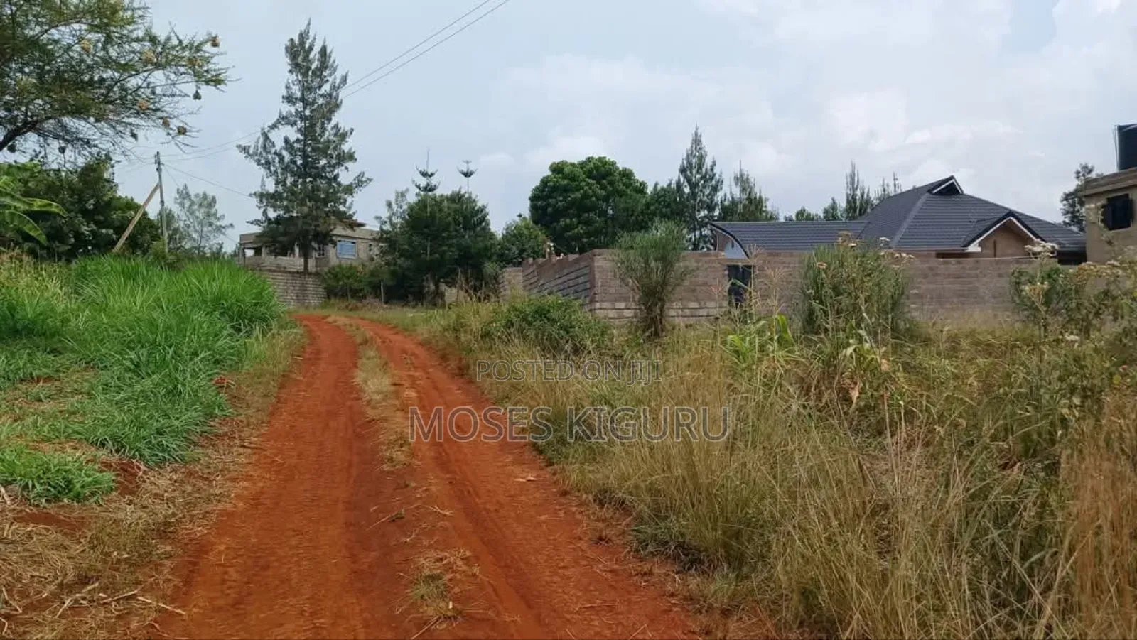Ruiru, Mugutha 50x100 Plots