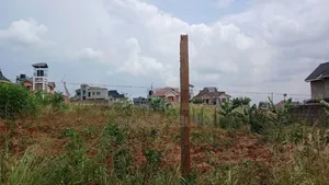 Ruiru, Mugutha 50x100 Plots