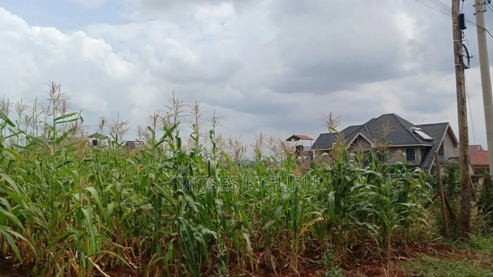 Ruiru, Mugutha 50x100 Plots