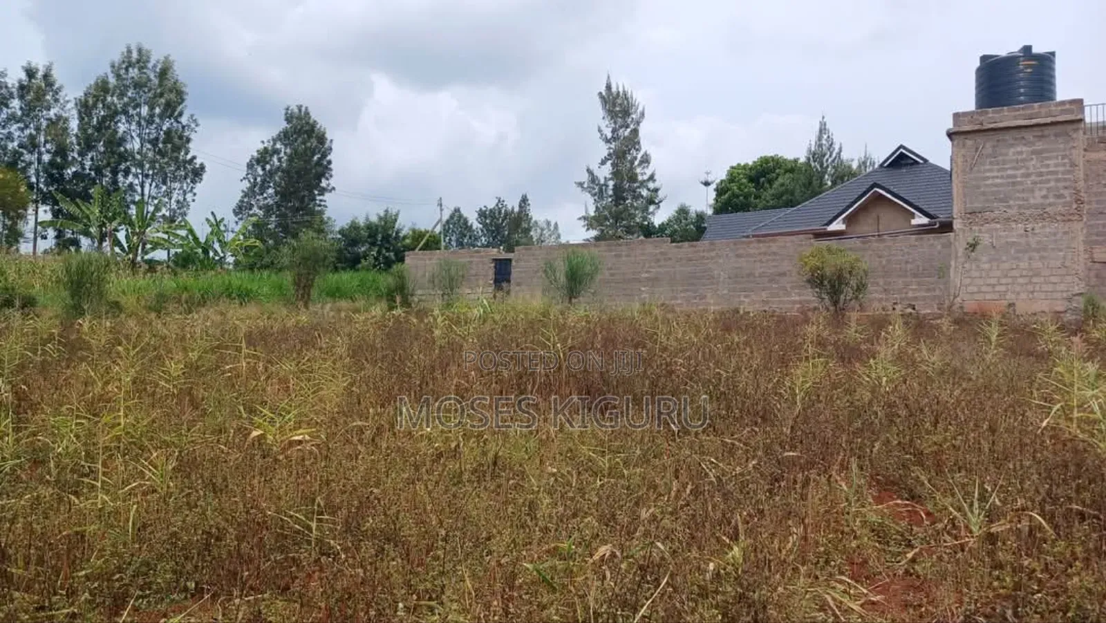 Ruiru, Mugutha 50x100 Plots