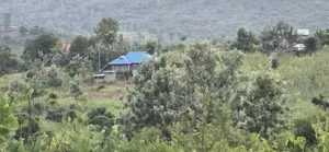 Makuyu 20 Acres for Sale.