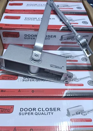 Silver Moment Door Closer