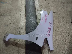 Honda Insight Wing/Fender