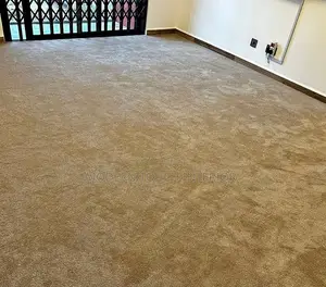 Wall-to-Wall Carpet for Homes Offices