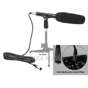 Interview Microphone Dv/Camcorder XLR