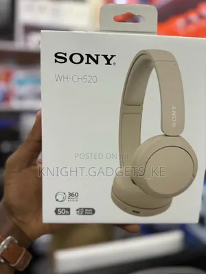 Sony Wh-Ch520 Headphones