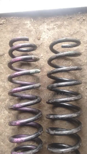 Toyota Probox Axio Rear Springs