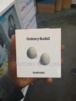 Samsung Galaxy Buds 2