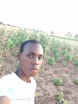 Iam Motivated Adaptable to Work as Gardener