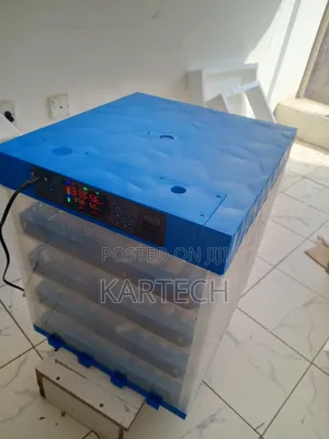 256 Eggs Automatic Incubator Ac/Dc With Temperature Control