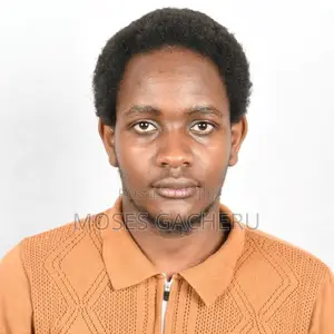 Electronics Repair Technician