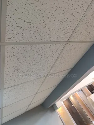 Acoustic Ceiling Tiles(Thickness=13mm, Dimensions:600*600mm)