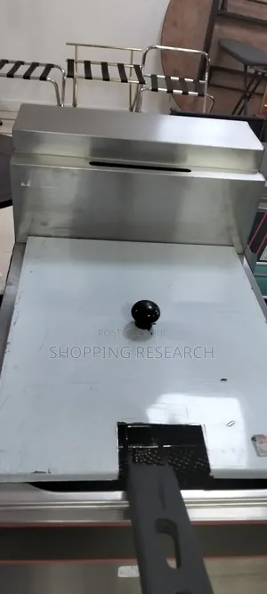 Imported Gas Fryer 8l