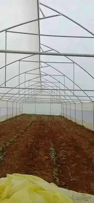 Greenhouse Galvanized 8*15m