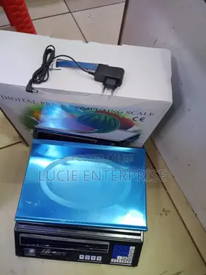 Digital Weighing Scale 30kg/Acs 30kg Flat Scale