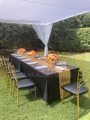 Black Chameleon Seats,Hire Chairs for Events