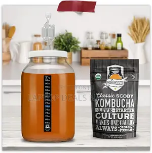 Glass Gallon Jar With Grommet Lid and S-Shaped Airlock