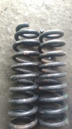 Toyota Probox Voxy Noah Rear Coil Springs