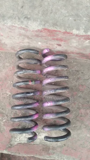 Nissan Serena Extil Murano Rear Coil Springs