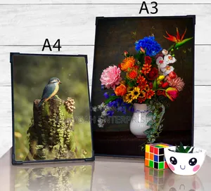 A3 A4 Photo Mount