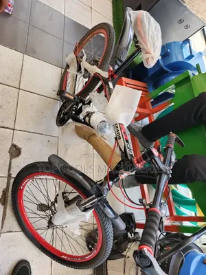 Milano Mountain Bicycle Size 24