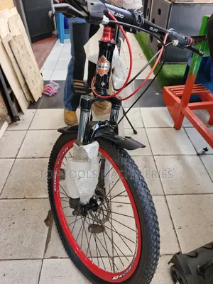 Milano Mountain Bicycle Size 24