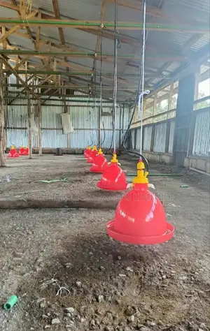 Automatic Bell Drinkers