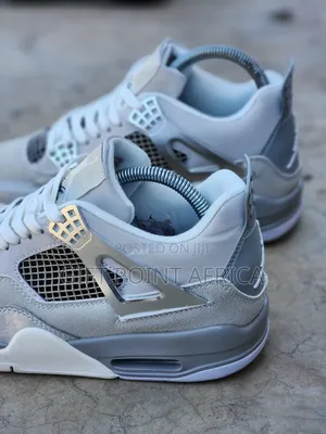 Jordan 4 Frozen Sneakers